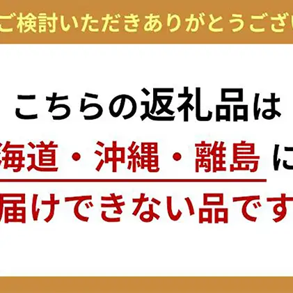 合掛布団 ロイヤルゴールド グース93% ダブル 合掛布団