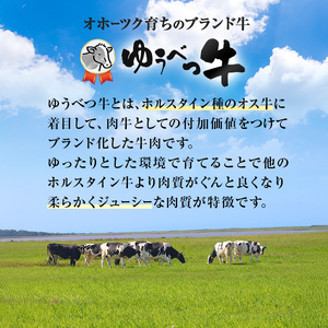 牛肉セット ゆうべつ牛 北海道産 ステーキ 焼肉 牛肉セット【約1.03kg】【冷凍】