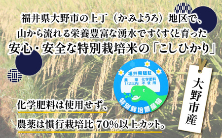 【先行予約】【令和7年産 新米】ベストファーマー ほたるの里 特別栽培こしひかり 5kg 化学肥料不使用 農薬70％以上カット【10月より順次発送】[A-002003]