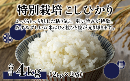 【先行予約】【令和7年産 新米】ベストファーマー ほたるの里 特別栽培こしひかり 4kg（2kg × 2袋） ＋ かぐらもち米 1.4kg 化学肥料不使用 農薬70％以上カット【10月より順次発送】 [A-002002]