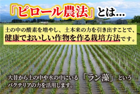 【令和7年産】【3ヶ月定期便】こだわりの米！弱アルカリ性のピロール米 こしひかり 白米 4.5kg×3回 計13.5kg [C-009004]