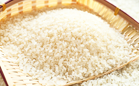 米食べ比べセット コシヒカリ あきさかり さぶりの里山 米食べ比べセット【10kg】