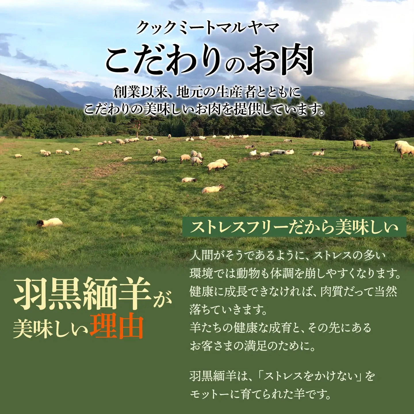 【令和8年先行予約 6月以降発送】 羽黒緬羊の焼肉セット (600g)　クックミートマルヤマ　K-849