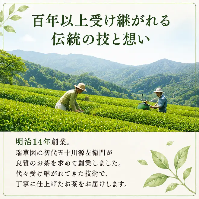 特選煎茶3本セット お茶 緑茶 