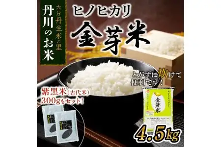ヒノヒカリ金芽米4.5kgと紫黒米（古代米）300g B01013