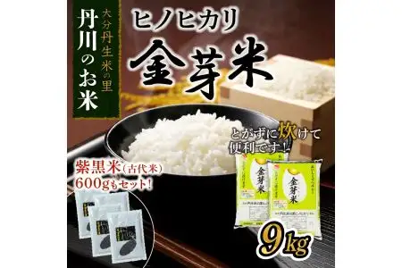 ヒノヒカリ金芽米9kgと紫黒米（古代米）600g B01014