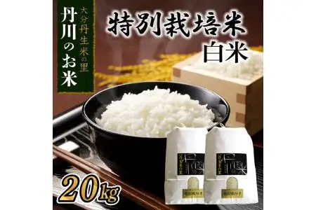 特別栽培米ぴかまる白米 20kg B01022