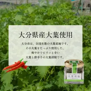 大葉胡椒 4個セット K01013