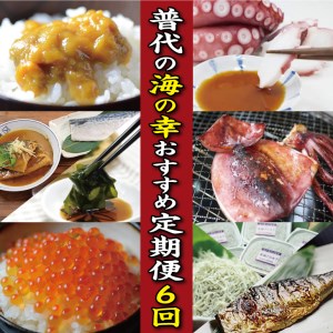 【定期便】三陸 普代村の海の幸おすすめ定期便６回 ６カ月連続お届け