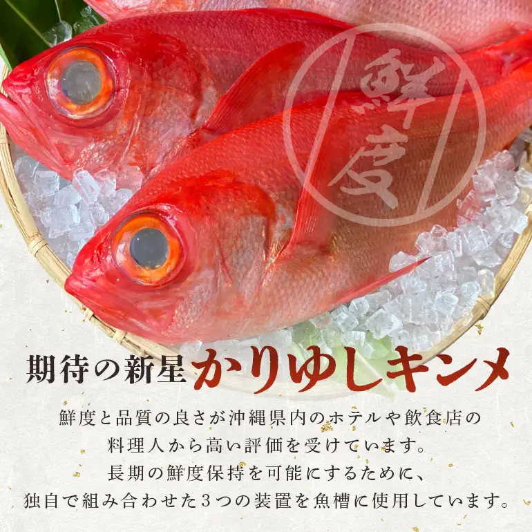 【特選】金目鯛 しゃぶしゃぶ セット 2~3人前 切り身 かりゆしキンメ 沖縄 糸満 海鮮 冷凍 直送 鯛 鍋 出汁 昆布 アラ 魚介 魚 お鍋 ブランド鯛 15000円 お取り寄せ 贈答 ギフト 産地直送 海産物 沖縄海産物 特大 高級魚 沖縄鯛 魚鍋 雑炊 2人 3人