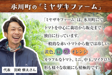 【先行予約】ミニトマト 宝石とまと 1.2kg 10種 トマト