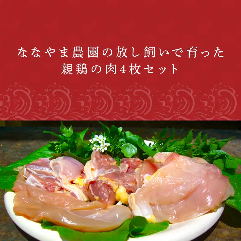 佐賀県産 放し飼いで育った親鶏の肉 (もも むね ささみ各2枚×4) 煮込み料理 たたき
