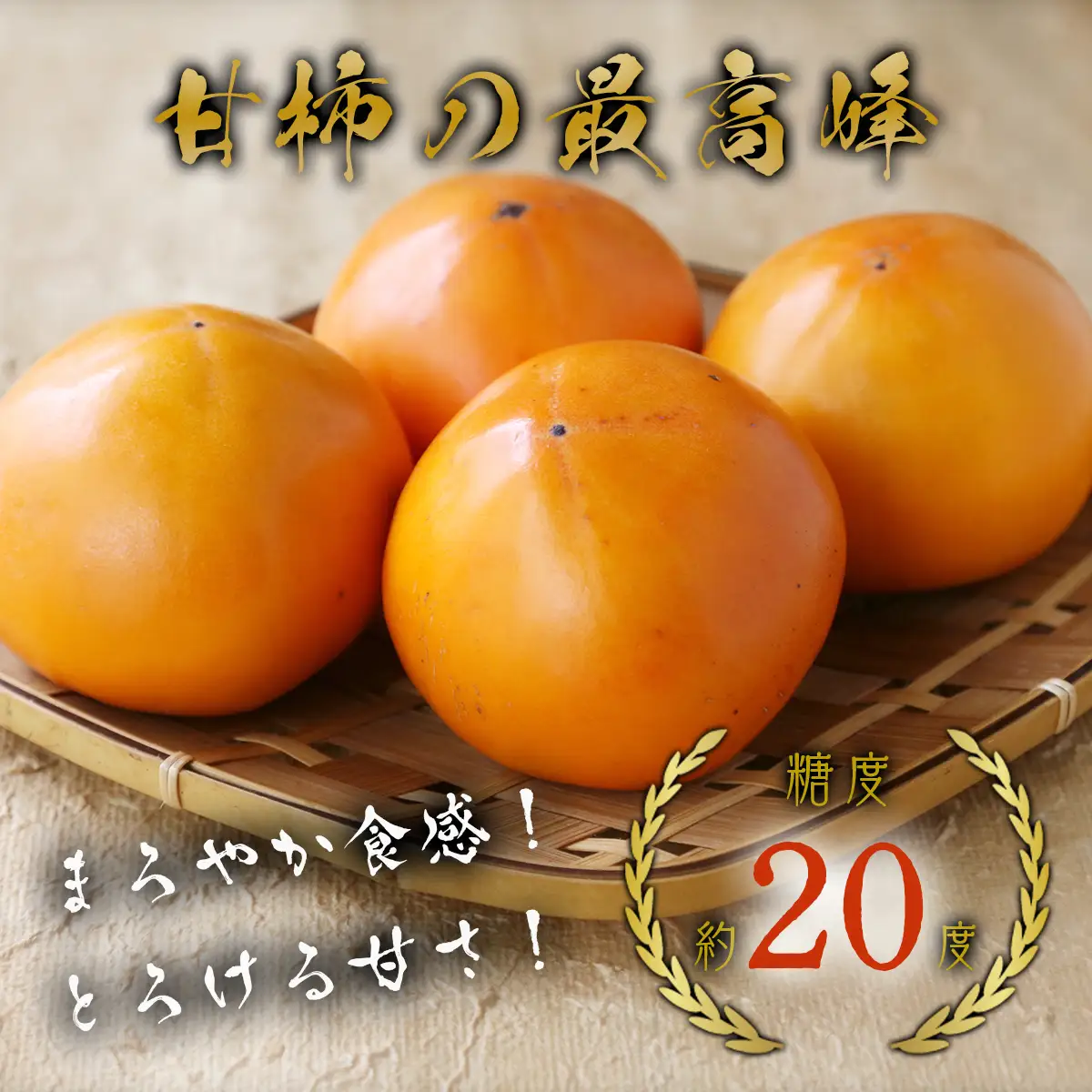 Y089 こおげ花御所柿 5kg