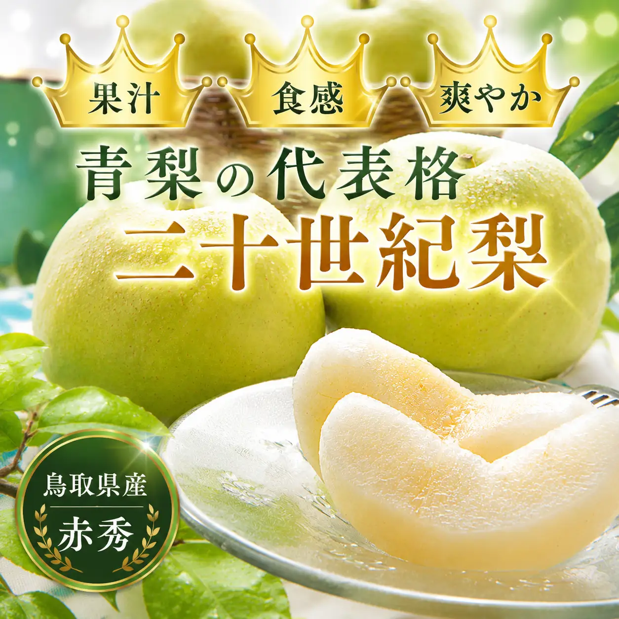 Y014 二十世紀梨(赤秀) 2.4kg