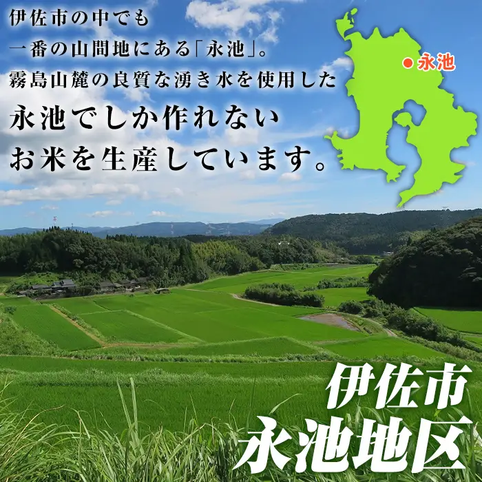 isa199 ＜先行予約受付中！2026年10月中旬から順次発送＞令和8年産 特別栽培米 永池ひのひかり玄米(10kg) 鹿児島 永池 お米 新米 米 玄米 伊佐米 九州米サミット 食味コンテスト 最優秀賞受賞 ヒノヒカリ 【エコファーム永池】