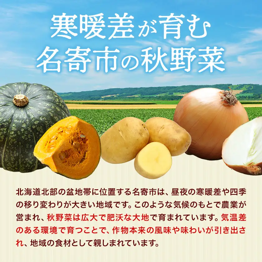 北海道名寄市産 野菜3種詰め合わせ じゃがいも 3kg 玉ねぎ 3kg かぼちゃ 2玉