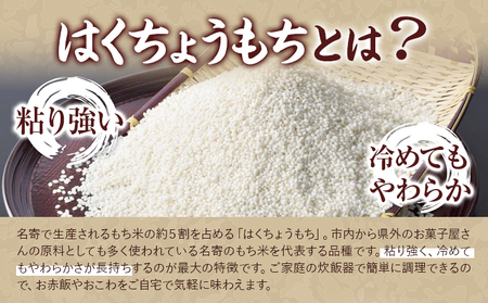 令和7年産 はくちょうもち米 10kg お米 こめ もち米 観光まちづくり協会《10月下旬-11月下旬頃出荷》北海道 名寄市 白米 精米 餅 ご飯 ごはん 国産