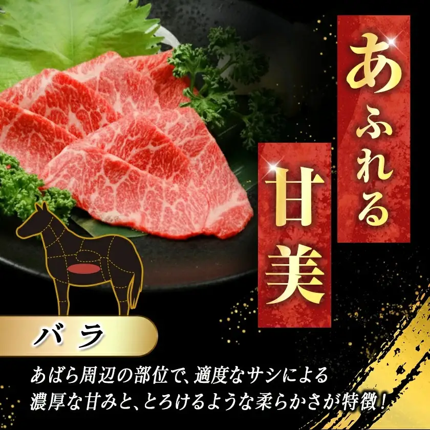都城産馬刺しバラブロック100g〔AA-0102〕_(都城市) 都城桜肉 馬バラブロック肉 生姜 醤油付き 高タンパク 低カロリー 高ミネラル 低脂肪 真空パック 化粧箱でお届け ギフト・贈答用としても 馬バラ肉 南九州