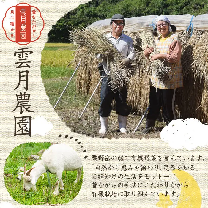 《栽培期間中農薬化学肥料不使用》 鹿児島県産 ヒノヒカリ 玄米(3kg) 国産 九州産 鹿児島県産 湧水町産 ひのひかり お米 おこめ オコメ 米 こめ コメ 玄米 ご飯 ごはん 3kg 化学肥料不使用 農薬不使用 有機 有機農業 有機肥料 【雲月農園】_y174