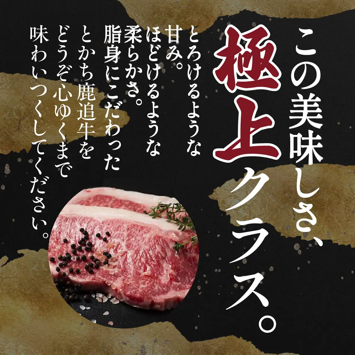 とかち鹿追牛ロースステーキ（Dセット） 225g×2 SKA008 【 人気 おすすめ  北海道  送料無料 】