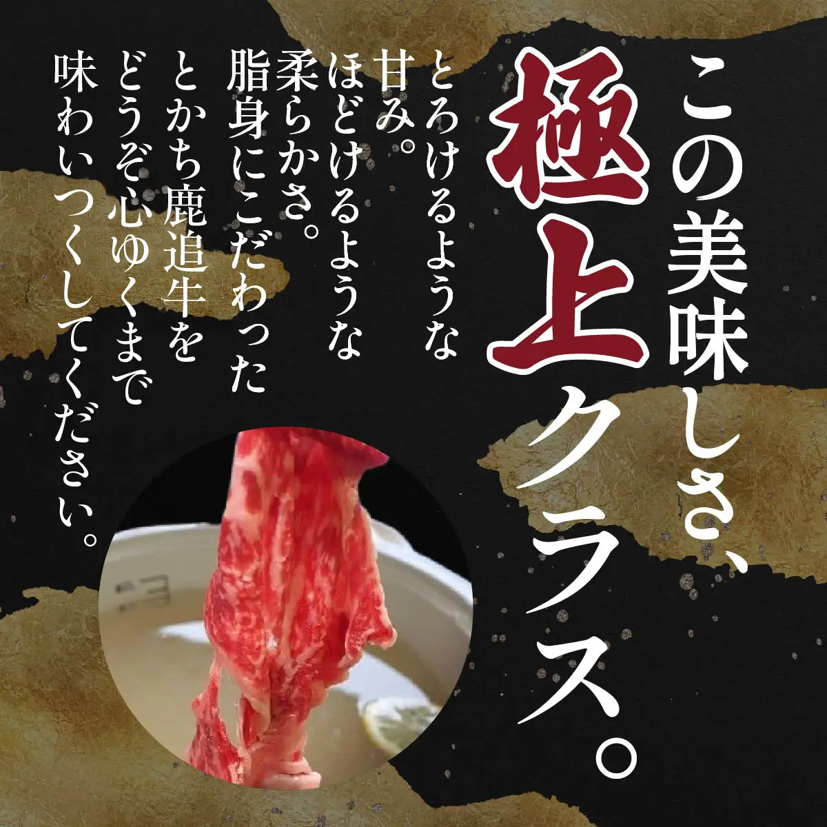 とかち鹿追牛しゃぶしゃぶ用（Eセット） 225g×2 SKA001 【 人気 おすすめ  北海道  送料無料 】