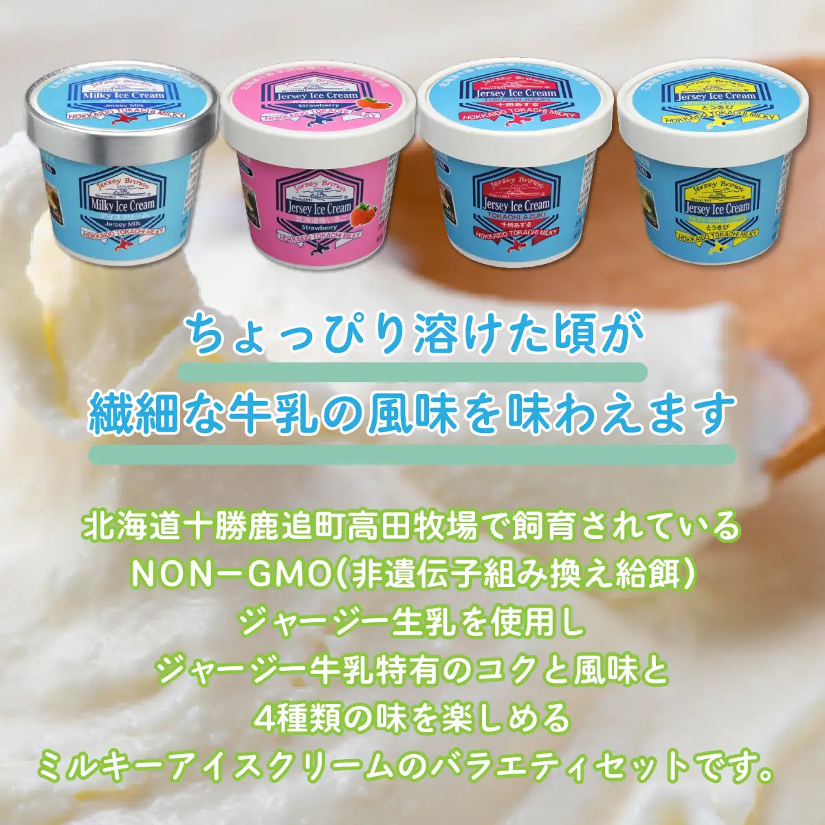十勝ジャージーミルキーアイスクリームバラエティセットB SKM005 【 人気  北海道 鹿追町 送料無料 】 SKM005
