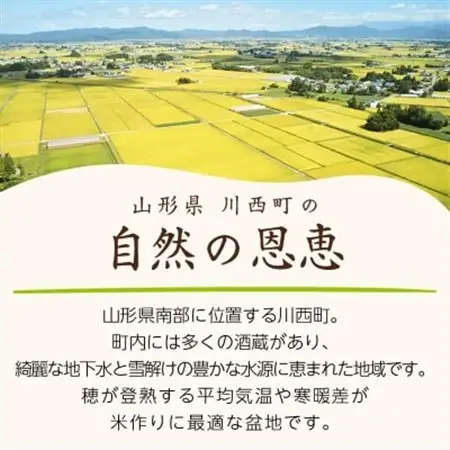 《先行予約》令和8年産　山形県産　雪若丸　10kg(5kg×2)_ 精米 米     米 こめ コメ_【1120496】