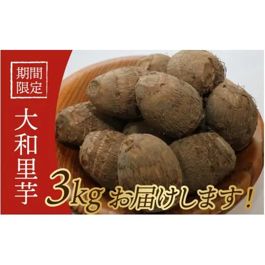 【先行予約】さといも 大和里芋（やまと）3kg【2026年11月中旬より順次発送予定】| 野菜 芋 イモ 根菜 いも 煮物 旬 味覚 秋