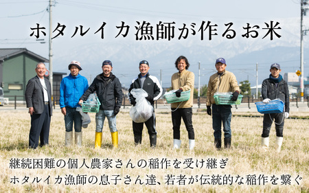 【訳あり】ほたるいか米（玄米１０kg）【通年発送】 