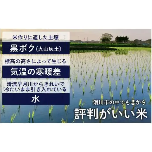 滑川の味覚セット（精米10kg、海のミネラル水2本）/ 産地直送 袋 かわいい こしひかり おにぎり お米 白米 国産 ご飯 ごはん ミネラルウォーター 飲み物 富山県 滑川市