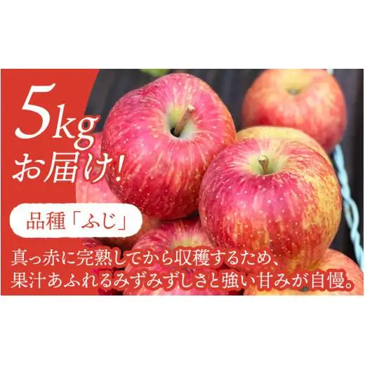 【先行予約】りんご 5kg【2026年12月以降順次発送予定】エコファーマー認定 | 林檎 リンゴ 果物 フルーツ 甘い ふじ 蜜入り 5kg 5キロ