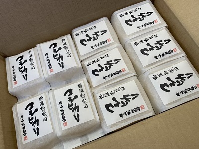 令和5年産 特別栽培米コシヒカリ 3合×10個　【 新潟県産 新発田市産 コシヒカリ 米 特別栽培米 3合 10個 450g セット D48 】