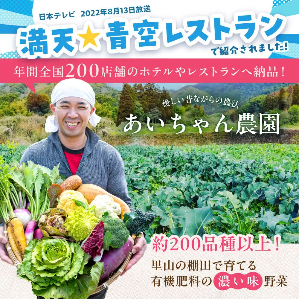 【8品】農薬に頼らない！カラダにやさしい「よしのがり野菜」セット（ショート）【吉野ヶ里あいちゃん農園】 [FAA001]