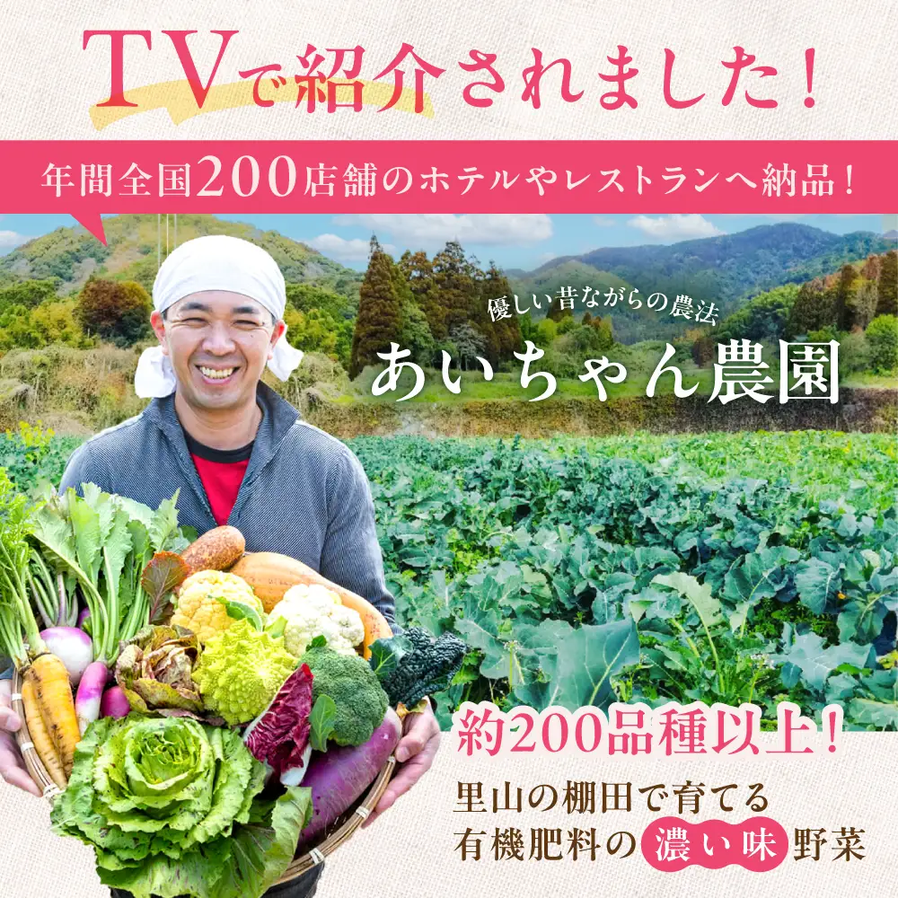 【16品 / 12回定期便】「よしのがり野菜」セット（ラージ）[FAA010]