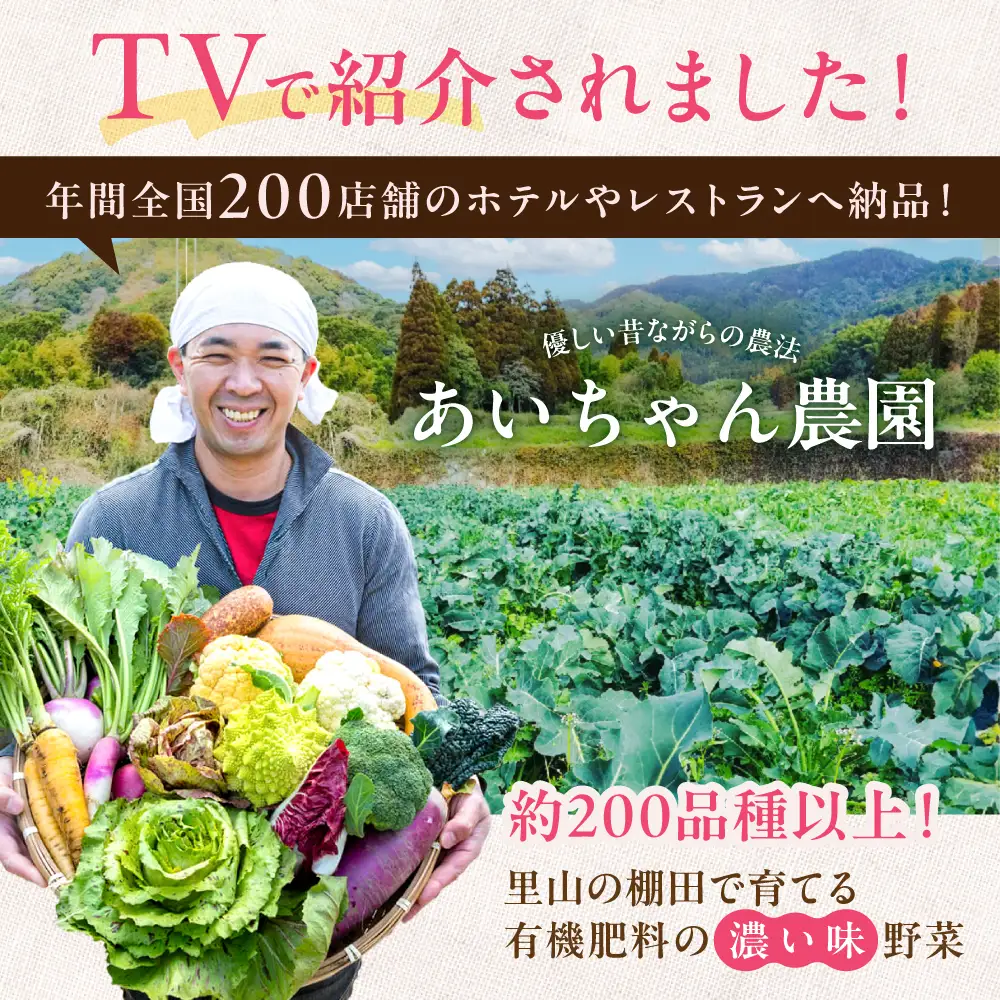 【6品 / 12回定期便】農薬に頼らない！カラダにやさしい イタリア野菜セット（ショート）野菜 やさい[FAA014]