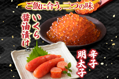 いくら醤油漬(鮭卵)70g×2P、辛子明太子200g A-11151