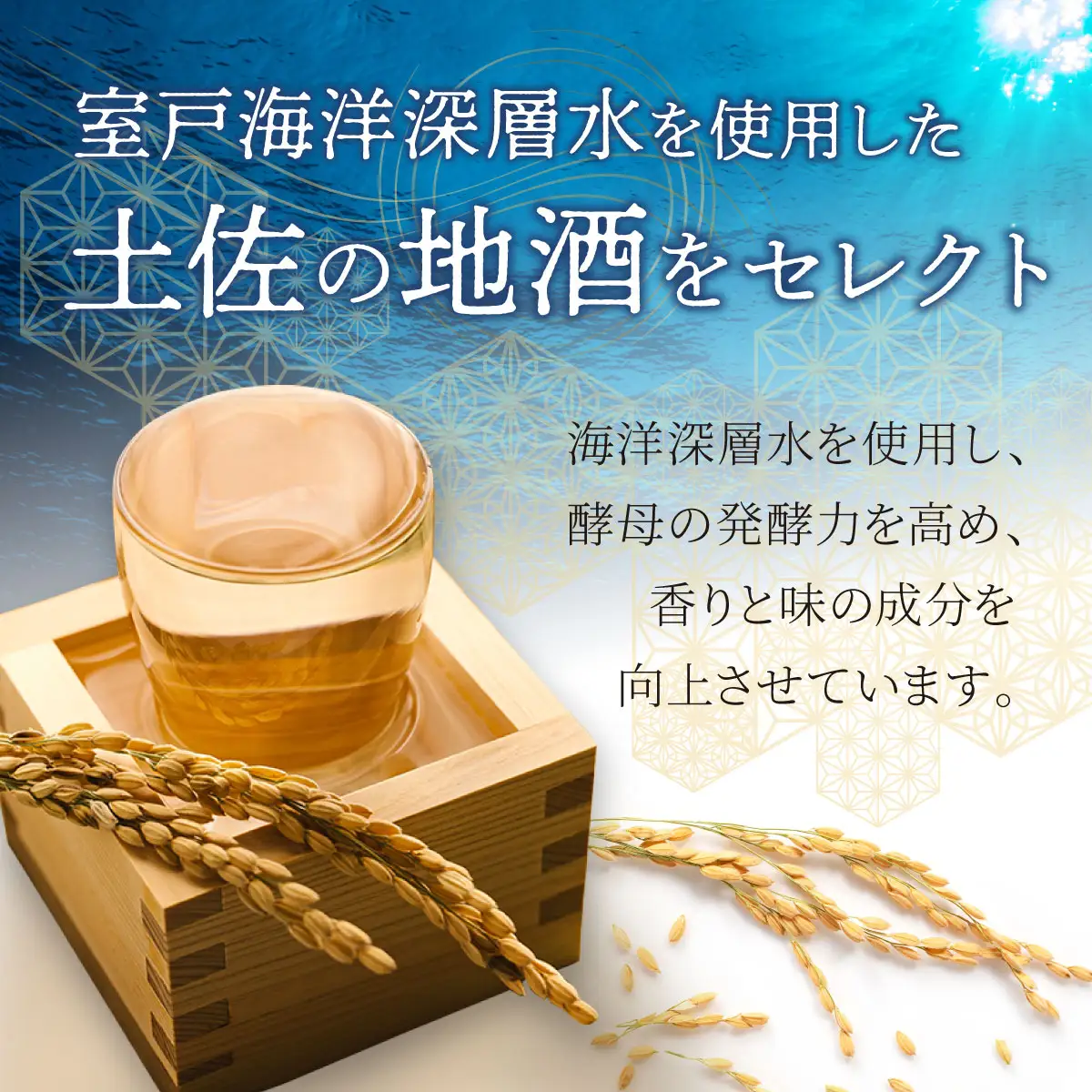 土佐の地酒吟醸酒３本セット