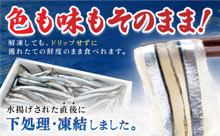 五島産 きびなご 刺身用 180尾（20尾×9パック） 五島市/鯛福丸水産[PDP001]きびなご