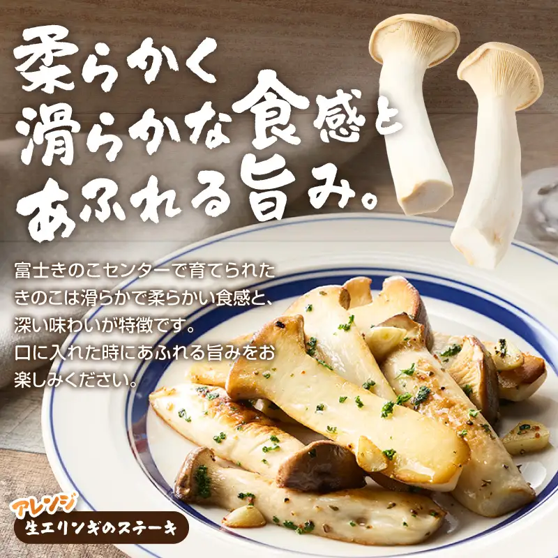 きのこ 富士山タマチョレイ茸 紅富士茸（椎茸） エリンギ 「美味しいきのこセット」 生きのこ 乾燥きのこ 3種 1kg以上 セット 詰め合わせ 薬品類無使用 柔らか 滑らか 旨み 国産 富士市産 富士きのこセンター 静岡県 富士市 [sf002-006]