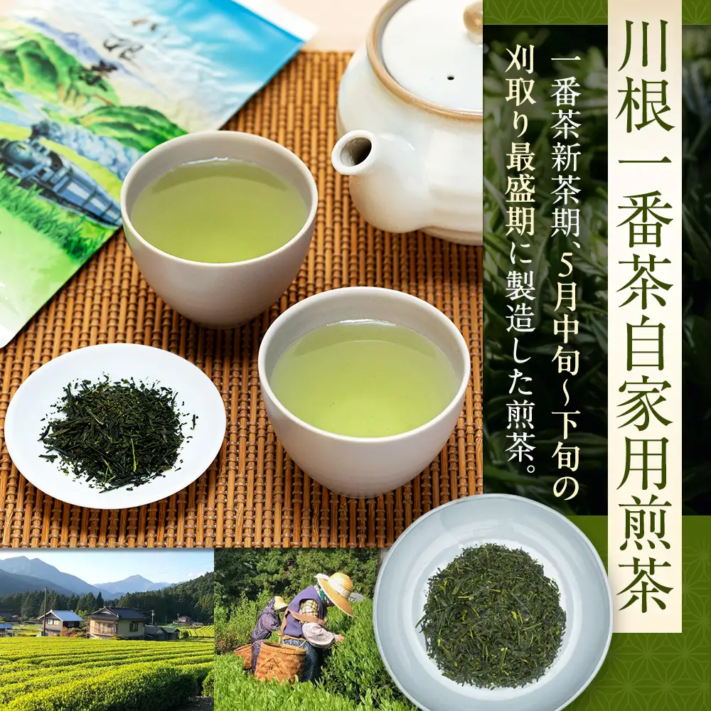 11-20 川根 自家用煎茶500ｇ