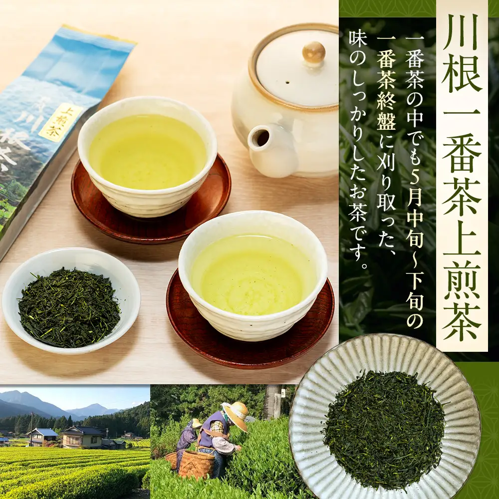 11-24 川根上煎茶200ｇ×3本