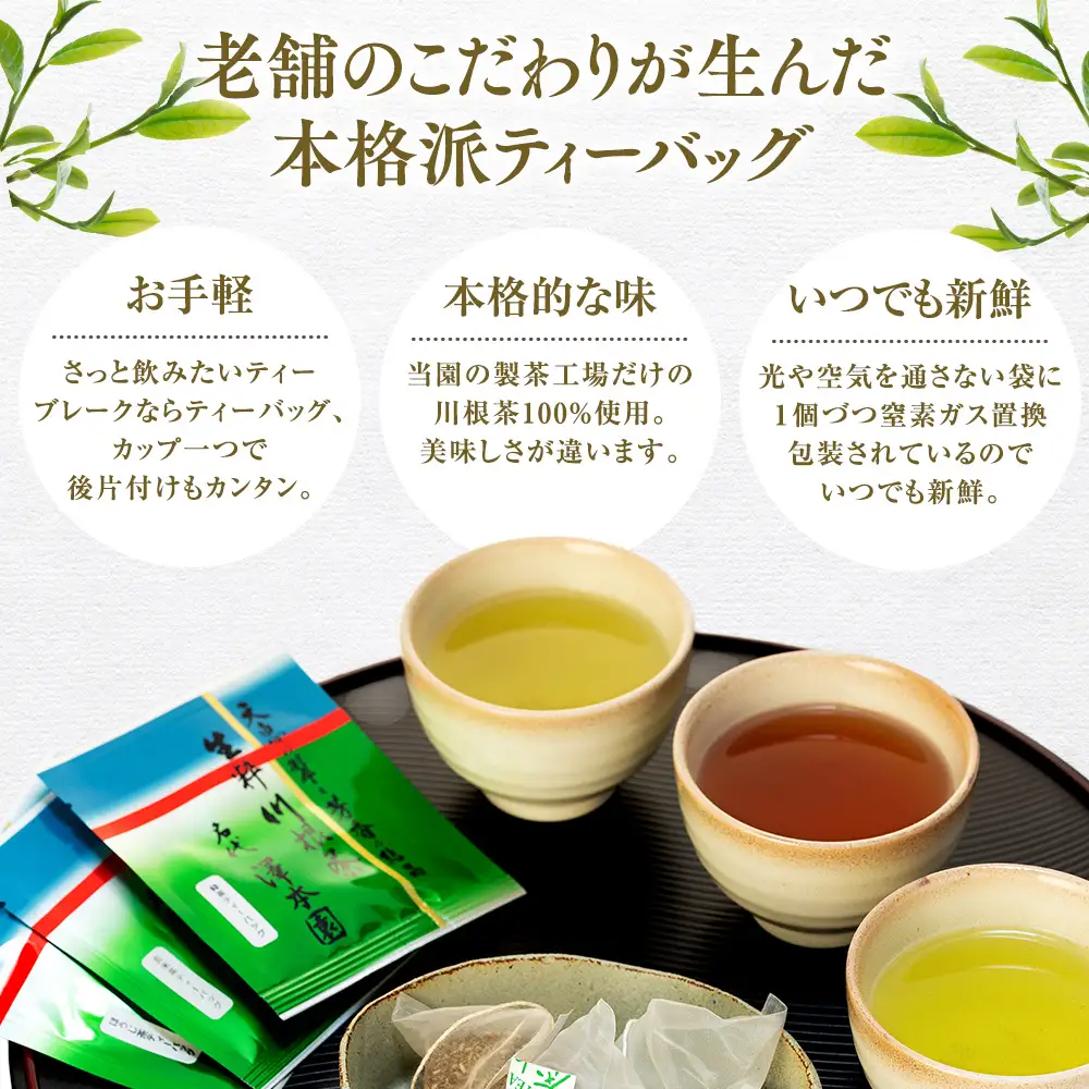 13-5 生粋川根茶 澤本園 ふるさとありがとう15