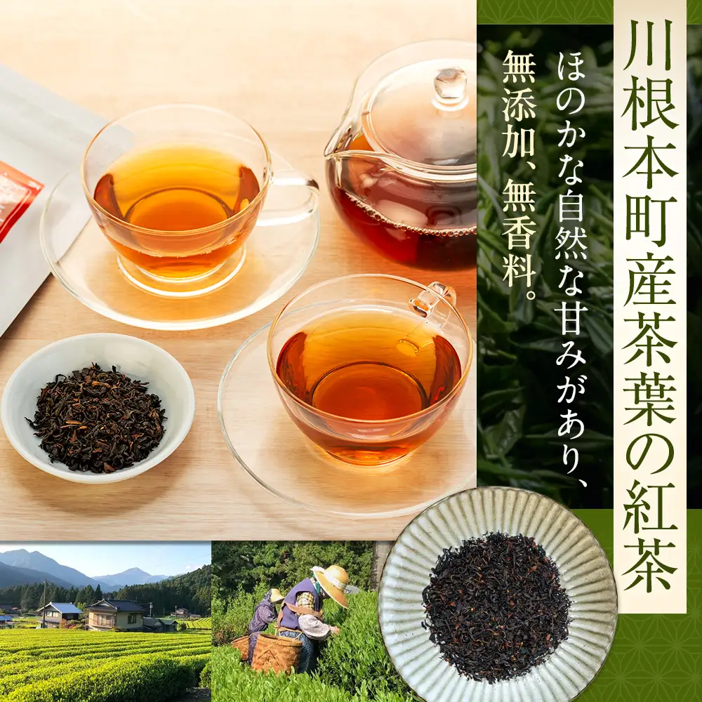 20-9 【定期便】川根紅茶 紐付きティーバッグ180個(20個入×3袋×3ヶ月)