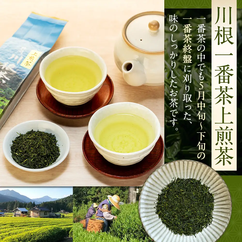 22-6 【定期便】上煎茶1.2kg(200ｇ×2本×3ヶ月)