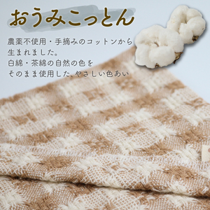 【マフラー(白・中) とハンカチセット】 綿畑からそのまま肌に安全、洗えるマフラー・ハンカチ 各1枚