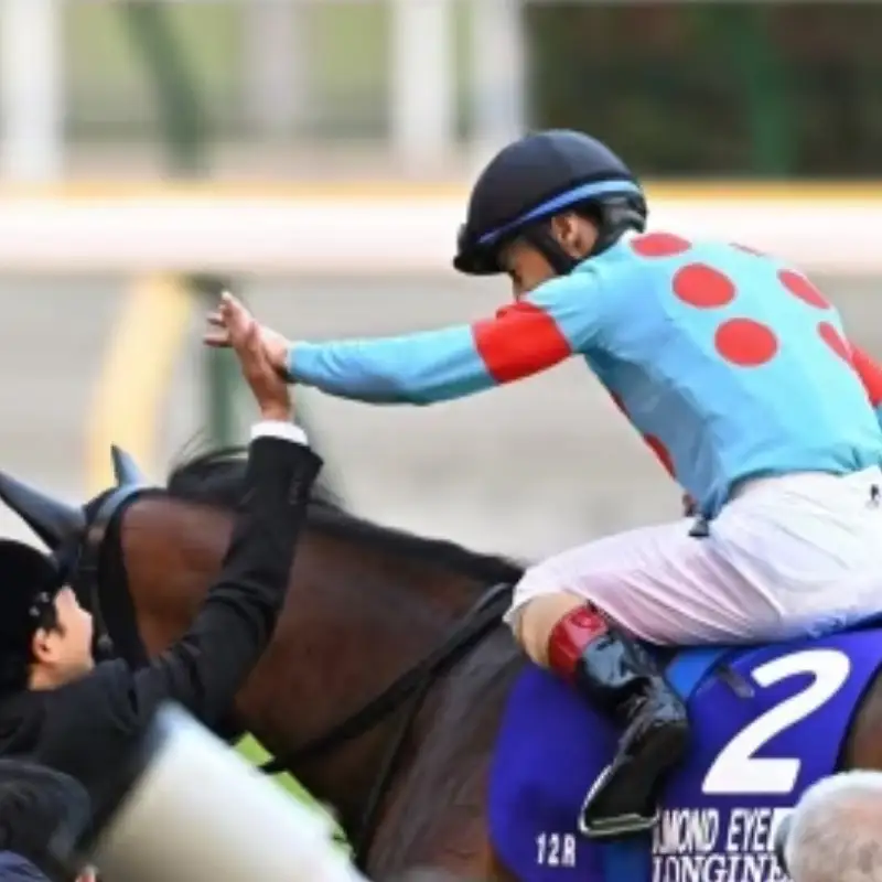 No.2010 競馬ジョッキー勝負服　タイプＡ