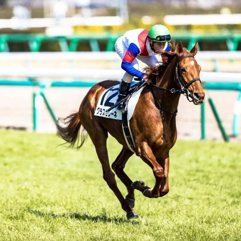 No.2011 競馬ジョッキー勝負服　タイプＢ