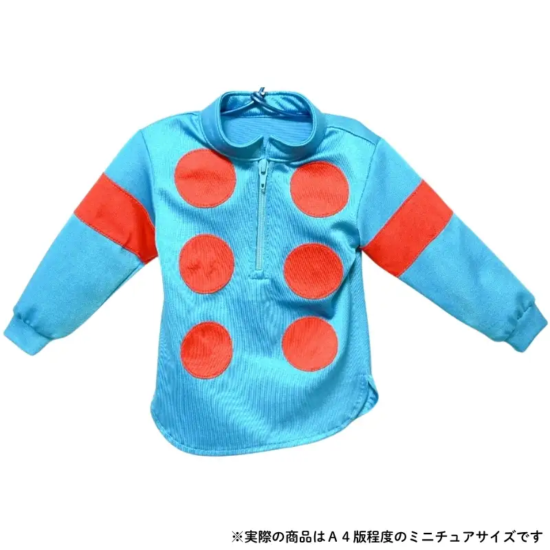 No.2012 競馬ジョッキー　かわいいミニチュア勝負服　タイプＡ