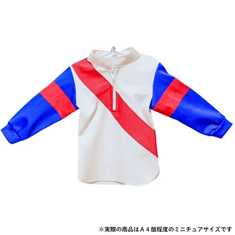 No.2013 競馬ジョッキー　かわいいミニチュア勝負服　タイプＢ