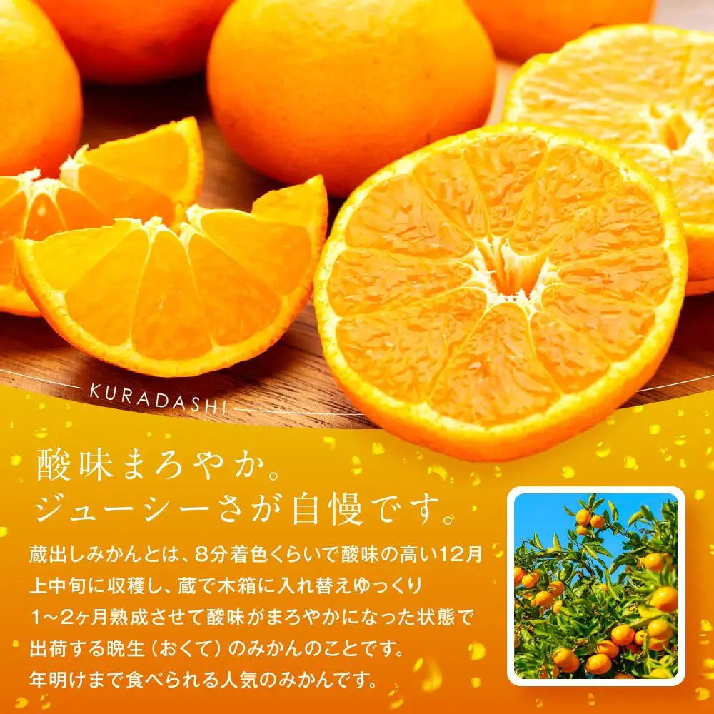 うまみ際立つ 蔵出しみかん サイズ混合 10kg